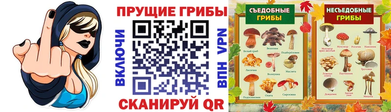 Псилоцибиновые грибы Cubensis  Данилов 