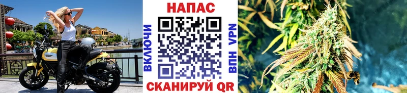 площадка официальный сайт Данилов мега Бошки Шишки OG Kush продажа наркотиков